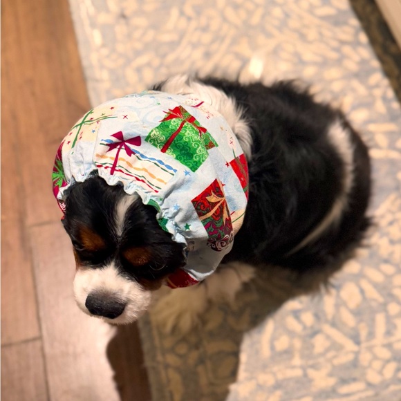 SNOOD Long Eared Dog Hat for Mealtime & Feeding - Picture 10 of 17